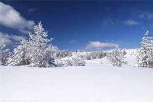 梦见积雪